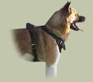 Husky Hetz-Hundegeschirr aus Leder