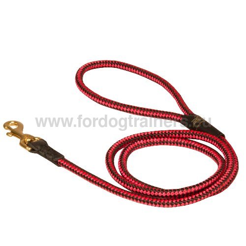 Two-colored Dog Leash