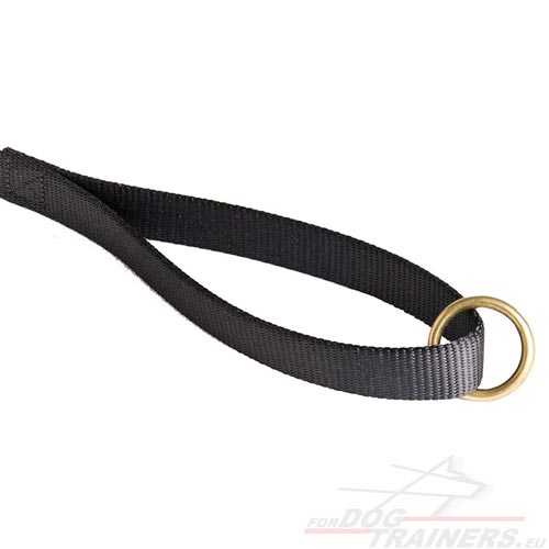 Nylon
Leash for Training and Walks