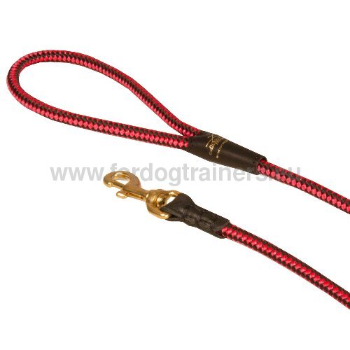 Reliable Dog Leash