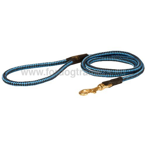 Leash for Dog Walking