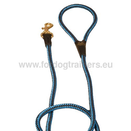 High Quality Nylon Dog Leash