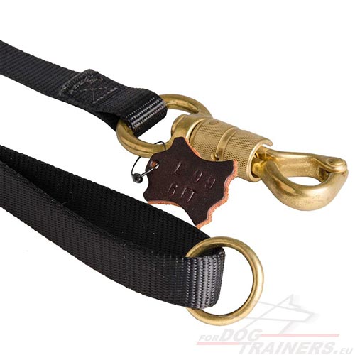 Solid
Nylon Leash for Dog