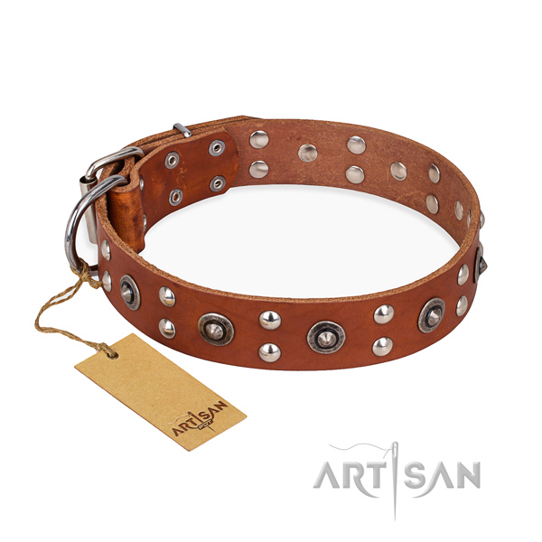 Leather Dog Collars with Studs for Walking