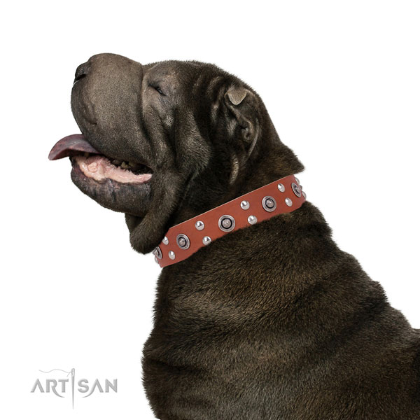 Quality Leather Dog Collar for Sar-pei