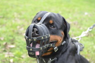 Leichter Hundemaulkorb aus Leder mit super Luftzirkulation [M41##1057 Museruola universale in pelle per Rottweiler]