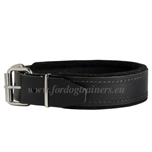 1 inch leather Dog Collar