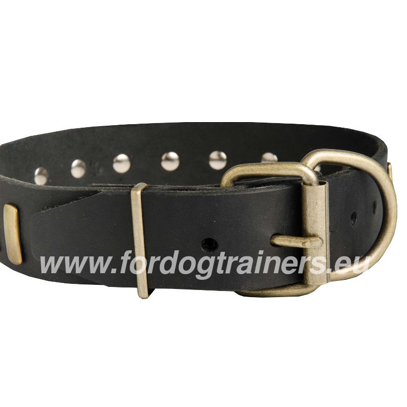 Designer Dog Collar Wide, Leather Collar Exclusive [C85N#1057 Collare in  pelle con decorazioni per Pastore tedesco ] : Dog harness, Dog muzzle, Dog  collar, dog leash, Bite Sleeves