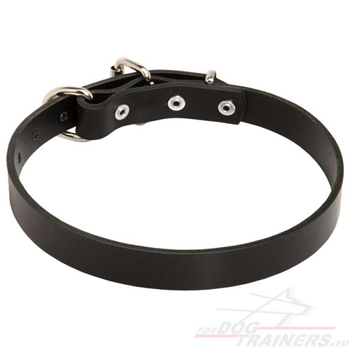 Dog Collar of Black Leather Narrow - Click Image to Close