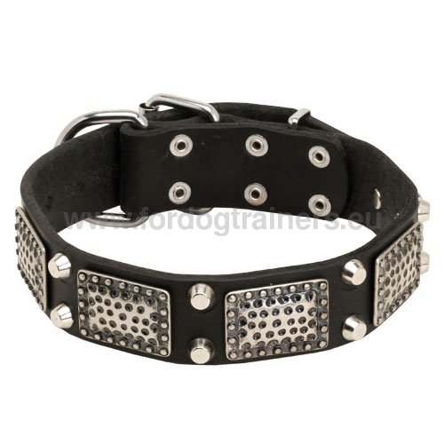 Collar Leather with Bronze Plates and Nickel-Plated Pyramids - Click Image to Close