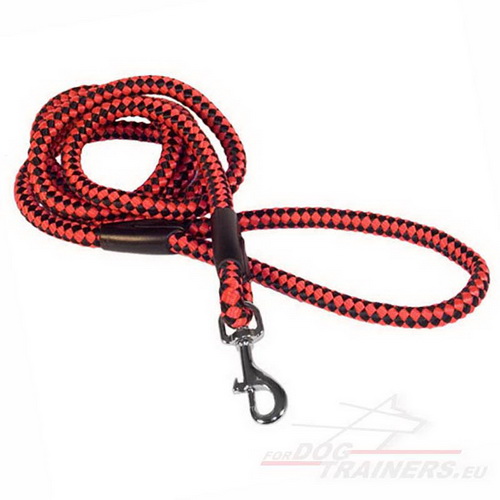 Leash Nylon Like Rope Bicolor for Dogs ✽ - Click Image to Close