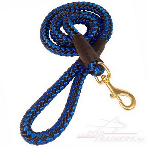 Braided Nylon Leash for Training ➤ - Click Image to Close